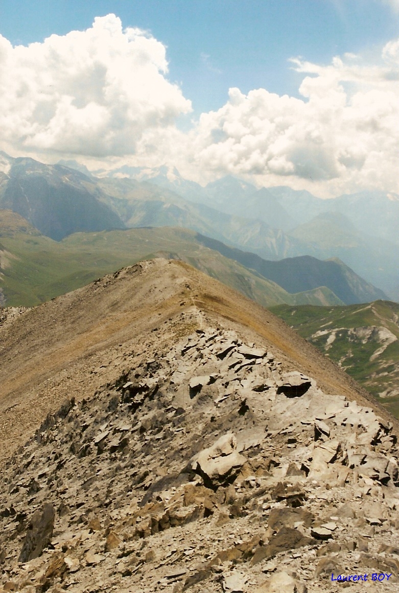antcime