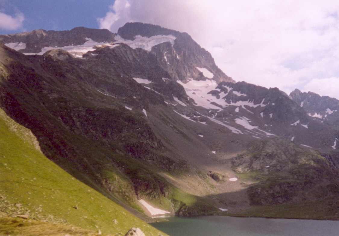 Muzelle